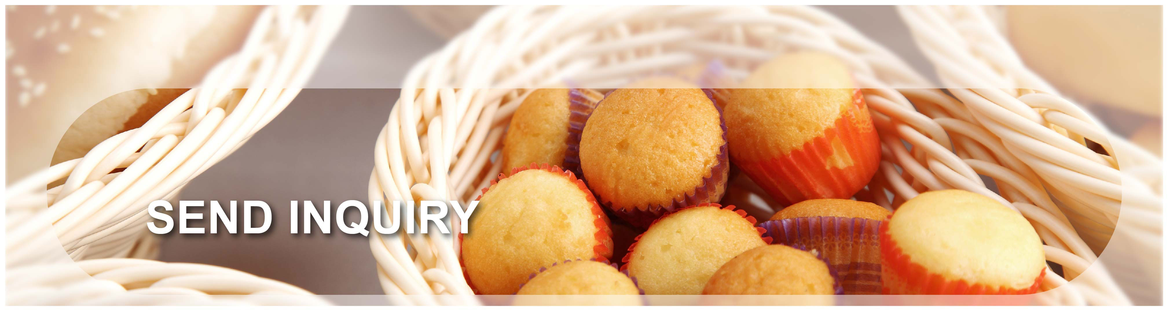 إرسال الاستفسار